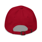 Cincinnati Ohio Dad Hat